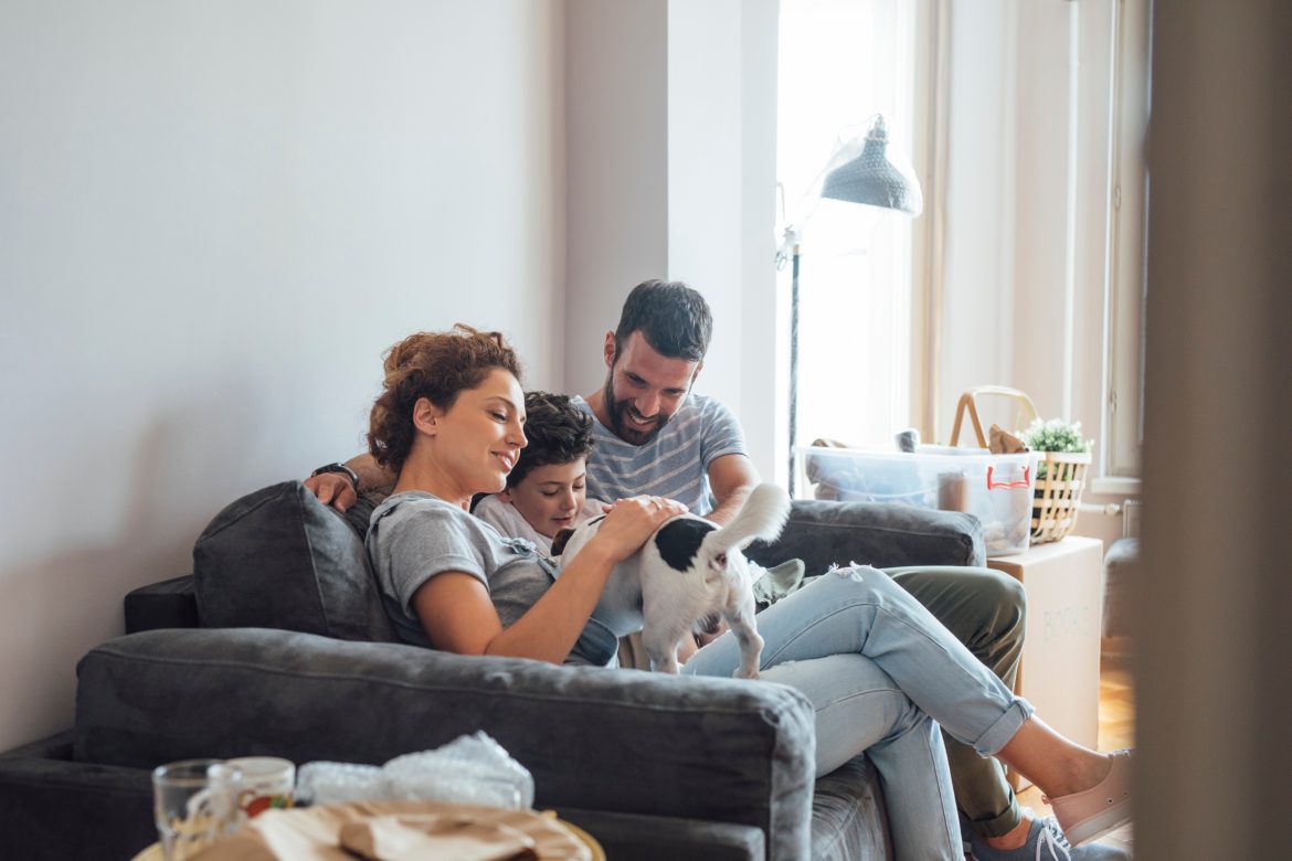 Basic Advice On Caring For a New Dog